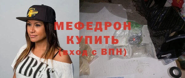 индика Щигры