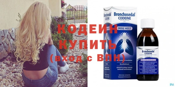 индика Абаза