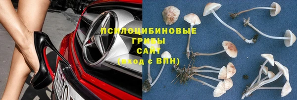 мет Щучье