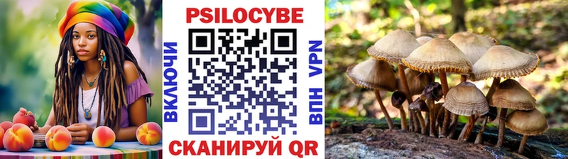Галлюциногенные грибы ЛСД  Домодедово 