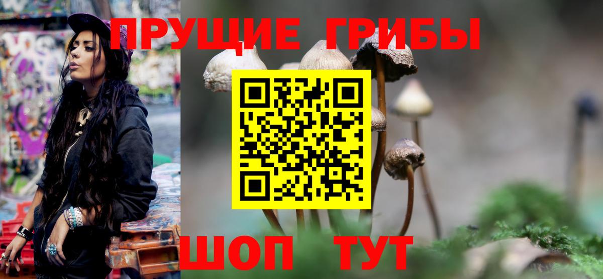 Галлюциногенные грибы Magic Shrooms  Вход с VPN  Домодедово  Псилоцибиновые грибы мицелий 