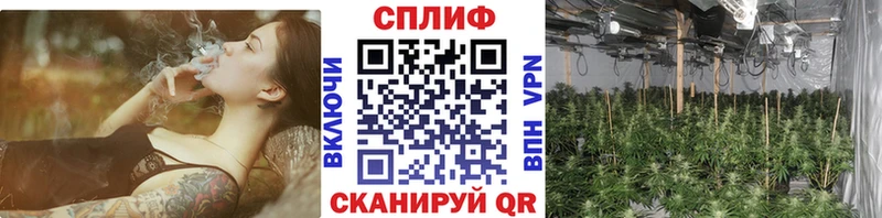 Бошки Шишки SATIVA & INDICA  блэк спрут   Домодедово  купить  